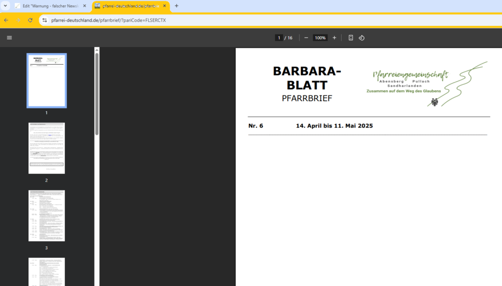 Screenshot - falscher Download - Newsletter